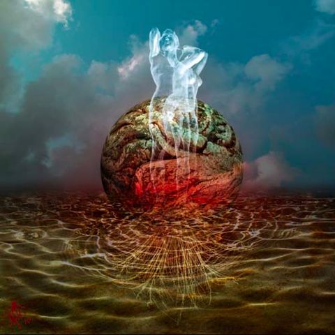 planetaraíz2web