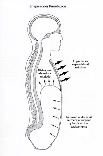 respirtres