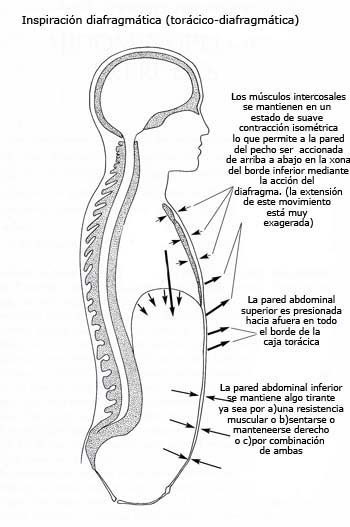 respircinco