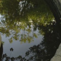 DSC03446